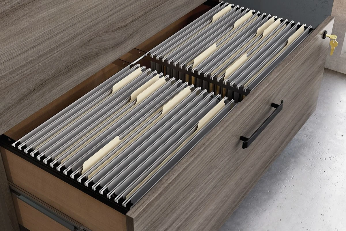 Affiliate Lateral Filer 4 Affiliate Lateral Filer - Image 4