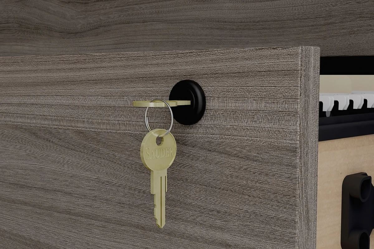 Affiliate Lateral Filer 5 Affiliate Lateral Filer - Image 5