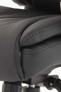 Aspartan Executive Office Chair -Office Furniture Shop aspartan 1 1