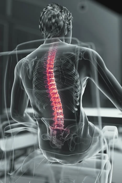 Pluto Ergonomic Mesh Office Chair 10 Pluto Ergonomic Mesh Office Chair - Image 10