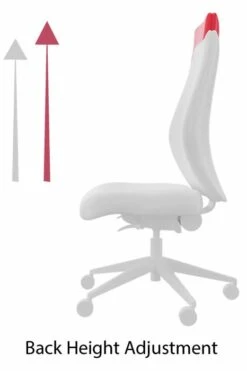 Pluto Ergonomic Mesh Office Chair 26 Pluto Ergonomic Mesh Office Chair -Office Furniture Shop back height adjustment