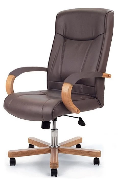 Barnes Executive Office Chair 1 Barnes Executive Office Chair
