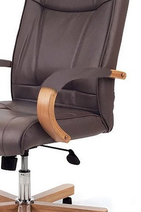 Barnes Executive Office Chair 2 Barnes Executive Office Chair - Image 2