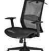 Belleville Ergonomic Mesh Office Chair