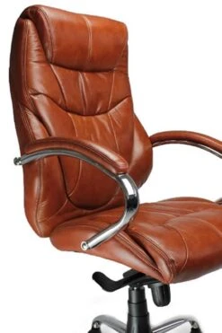 Bernera Executive Office Chair -Office Furniture Shop bernera tan 2