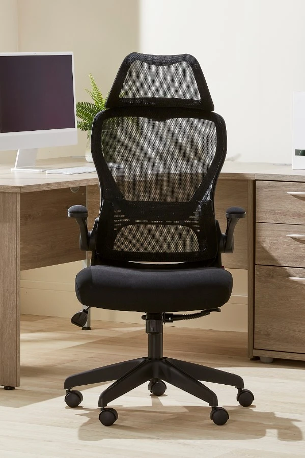Canis High Back Folding Arm Mesh Office Chair 3 Canis High Back Folding Arm Mesh Office Chair - Image 3