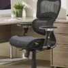 Chachi Ergonomic Chair