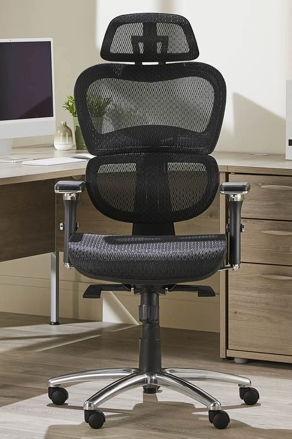 Chachi Ergonomic Chair 2 Chachi Ergonomic Chair - Image 2