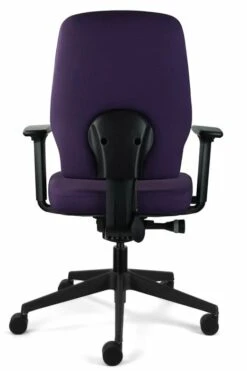Chiro Support -Office Furniture Shop chiro support 5