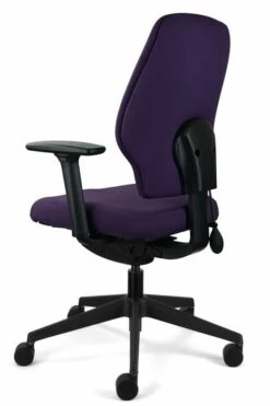 Chiro Support -Office Furniture Shop chiro support 6