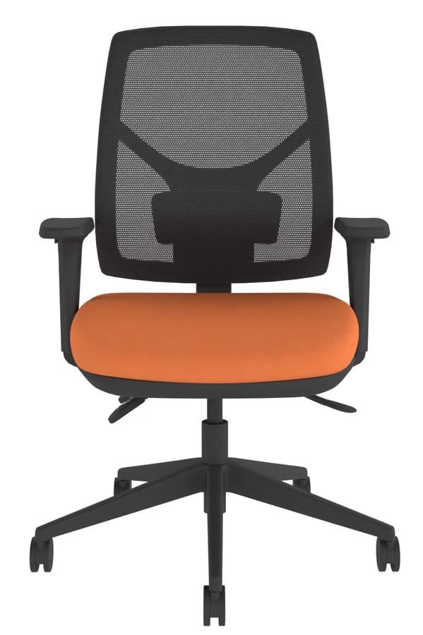 Dulce Mesh Office Chair 4 Dulce Mesh Office Chair - Image 4