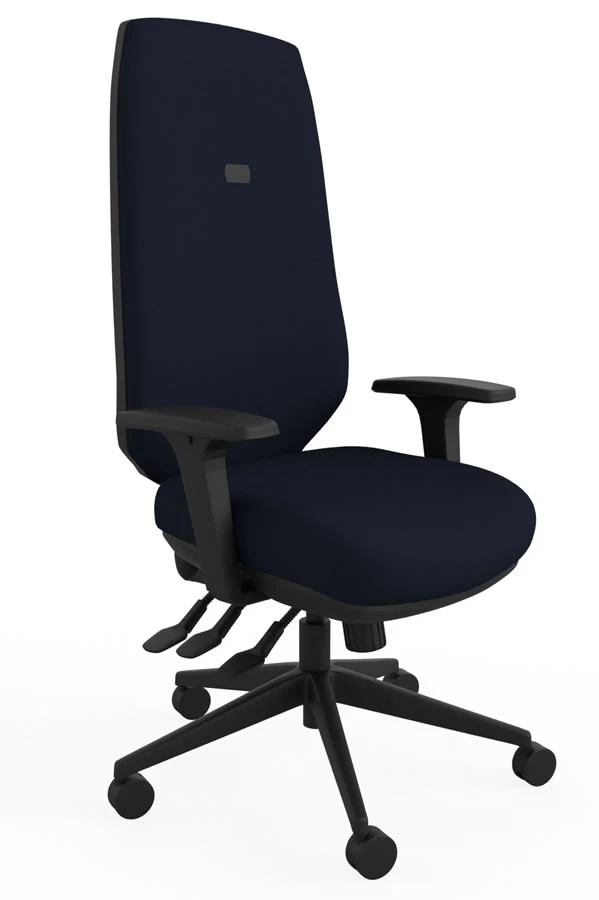 Ergo Adjust High Back Office Chair 1 Ergo Adjust High Back Office Chair
