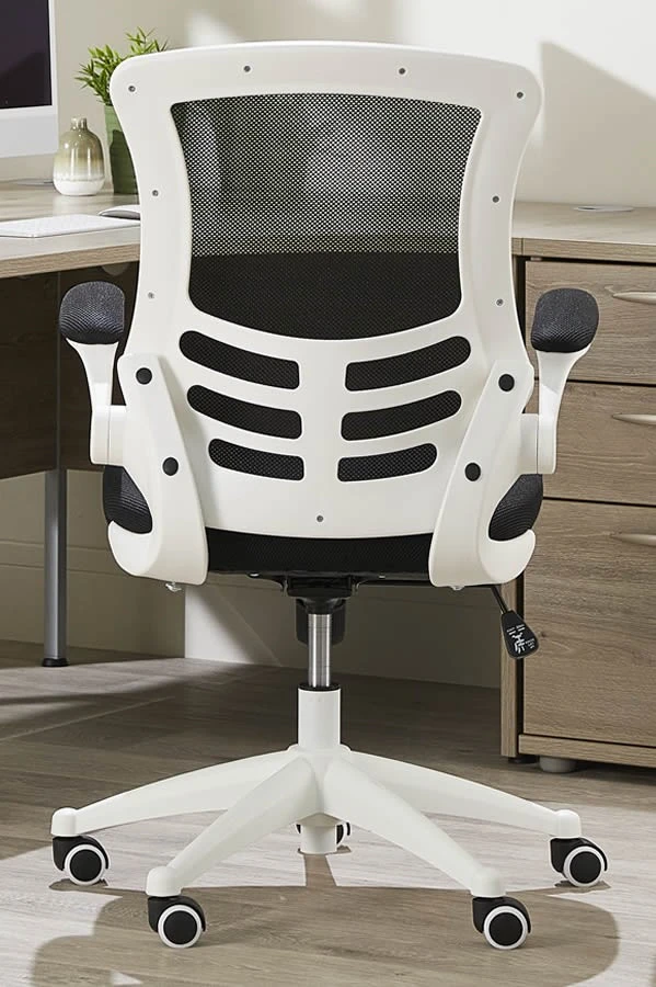 Ergo Mesh Chair 5 Ergo Mesh Chair - Image 5