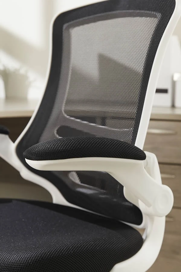 Ergo Mesh Chair 6 Ergo Mesh Chair - Image 6