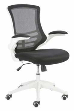 Ergo Mesh Chair 19 Ergo Mesh Chair -Office Furniture Shop ergo mesh 9