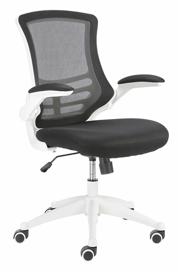 Ergo Mesh Chair 10 Ergo Mesh Chair - Image 10
