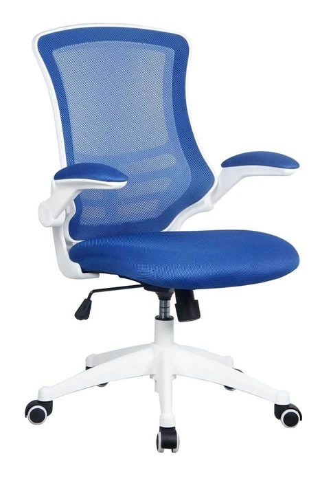 Ergo Mesh Chair 1 Ergo Mesh Chair