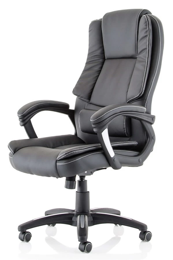 Dakota Extra Padded High Back Executive Chair 3 Dakota Extra Padded High Back Executive Chair - Image 3