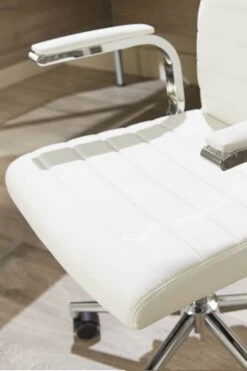 Ezra Executive Home Office Chair 23 Ezra Executive Home Office Chair -Office Furniture Shop ezra 8