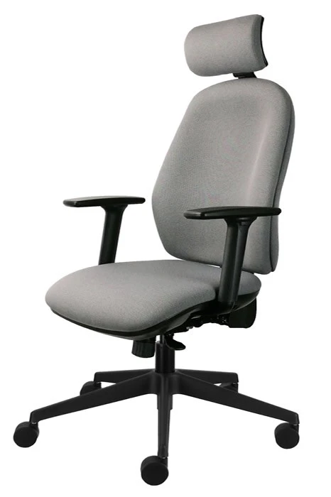 Ergo Fix Posture 5 Ergo Fix Posture - Image 5