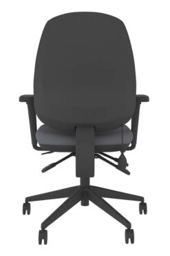 Lumbar Office Chair -Office Furniture Shop frf100 gy back