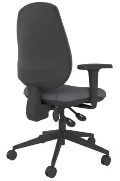 Lumbar Office Chair -Office Furniture Shop frf100 gy back right