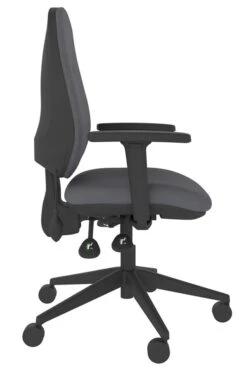 Lumbar Office Chair -Office Furniture Shop frf100 gy right