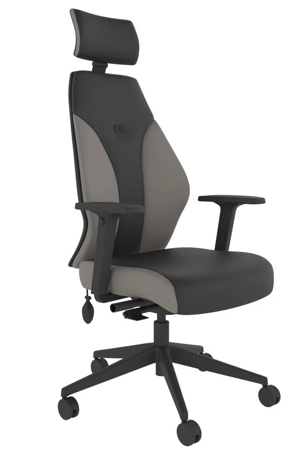 Abyss High Back Ergonomic Chair 2 Abyss High Back Ergonomic Chair - Image 2