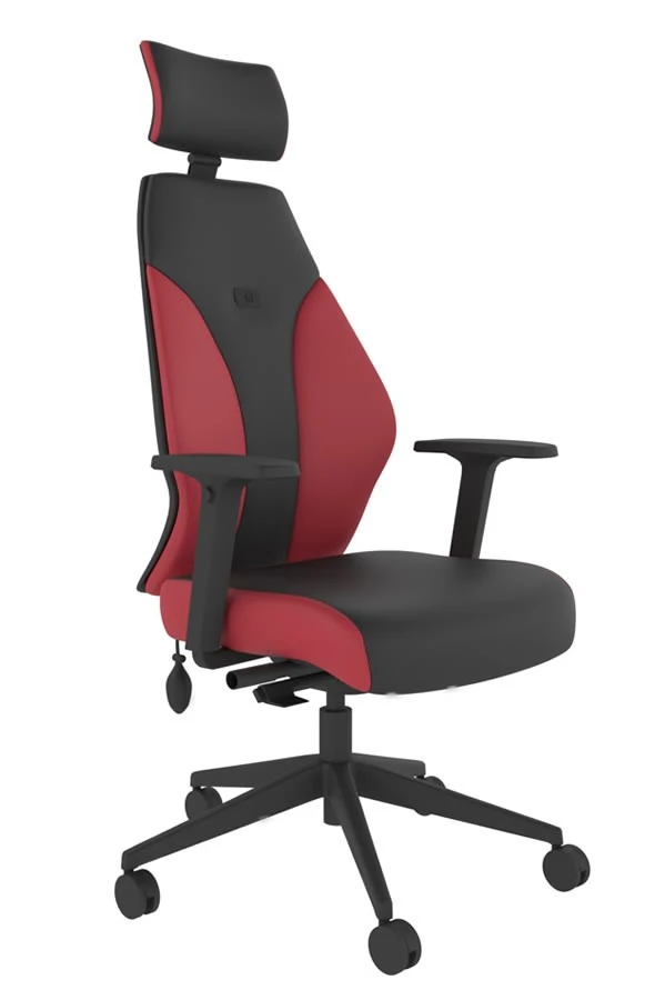 Abyss High Back Ergonomic Chair 1 Abyss High Back Ergonomic Chair