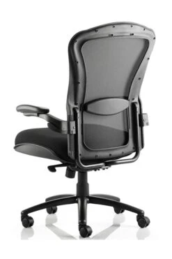 Houston Bariatric Chair 8 Houston Bariatric Chair -Office Furniture Shop houston 3
