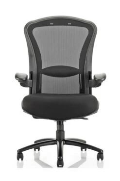 Houston Bariatric Chair 9 Houston Bariatric Chair -Office Furniture Shop houston 4