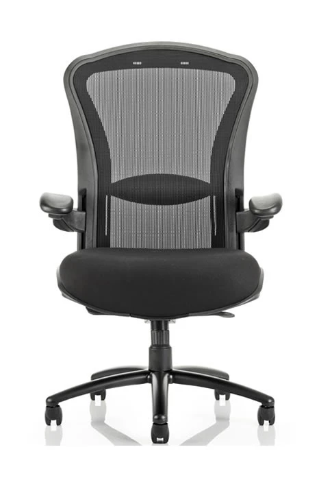 Houston Bariatric Chair 4 Houston Bariatric Chair - Image 4