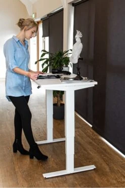 Mini Standing Desk -Office Furniture Shop mini 5