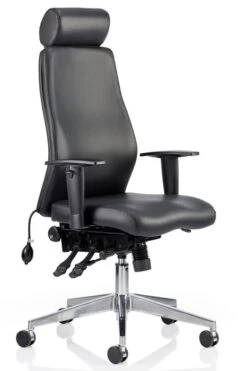Onyx Leather Office Chair -Office Furniture Shop onyx 18