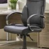 Trojan Office Chair