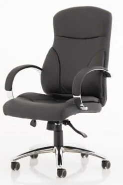 Trojan Office Chair -Office Furniture Shop trojan 2 1